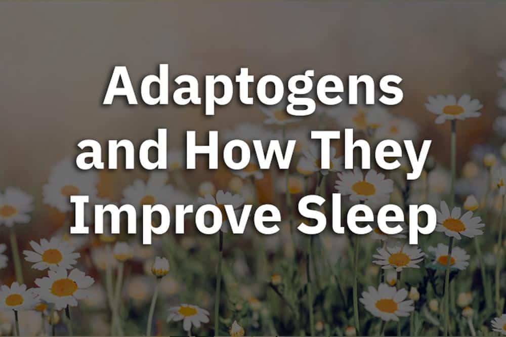 Adaptogens and How They Can Improve Sleep